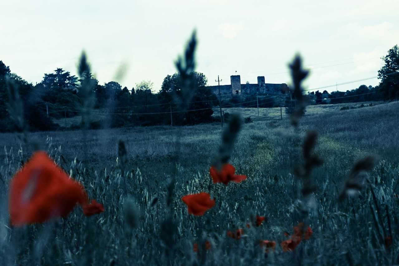 IMG_2010